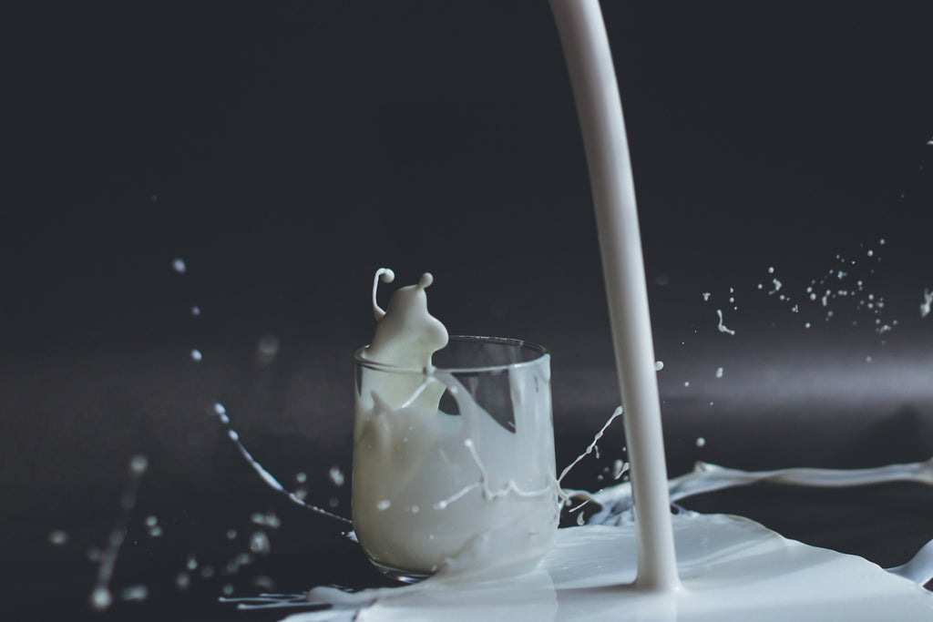 The Milk Myth: What Your Body Really Needs